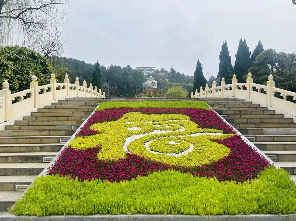 ��԰����