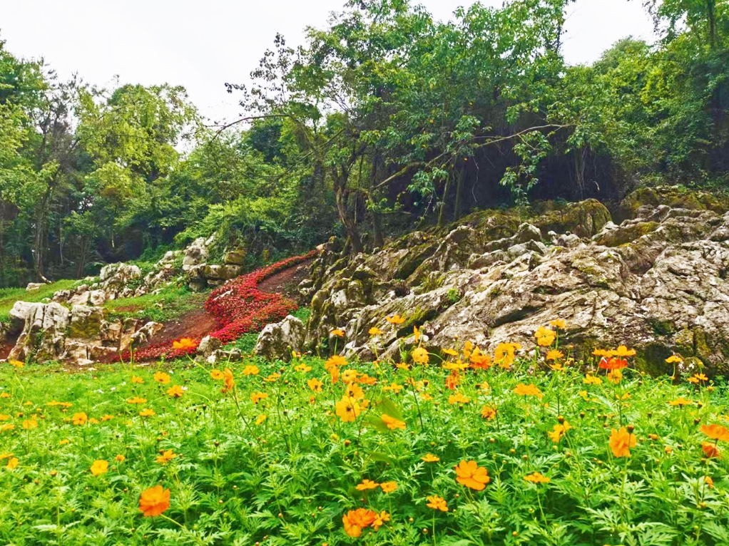 ��԰����