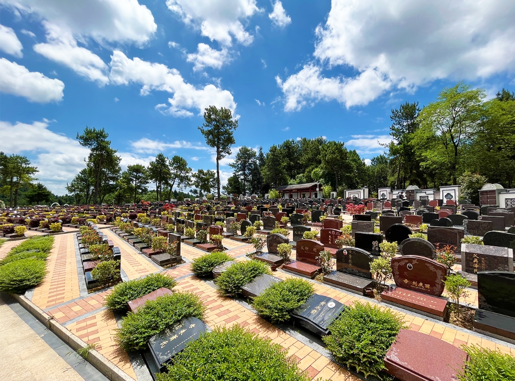 ��԰����