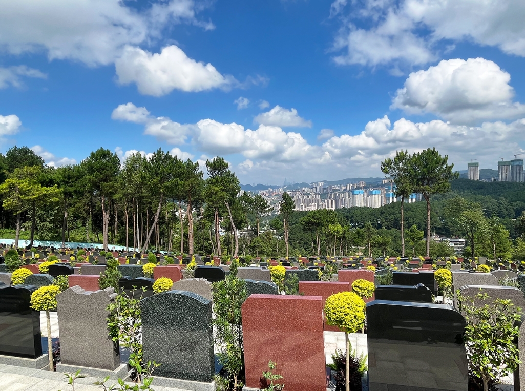 ��԰����