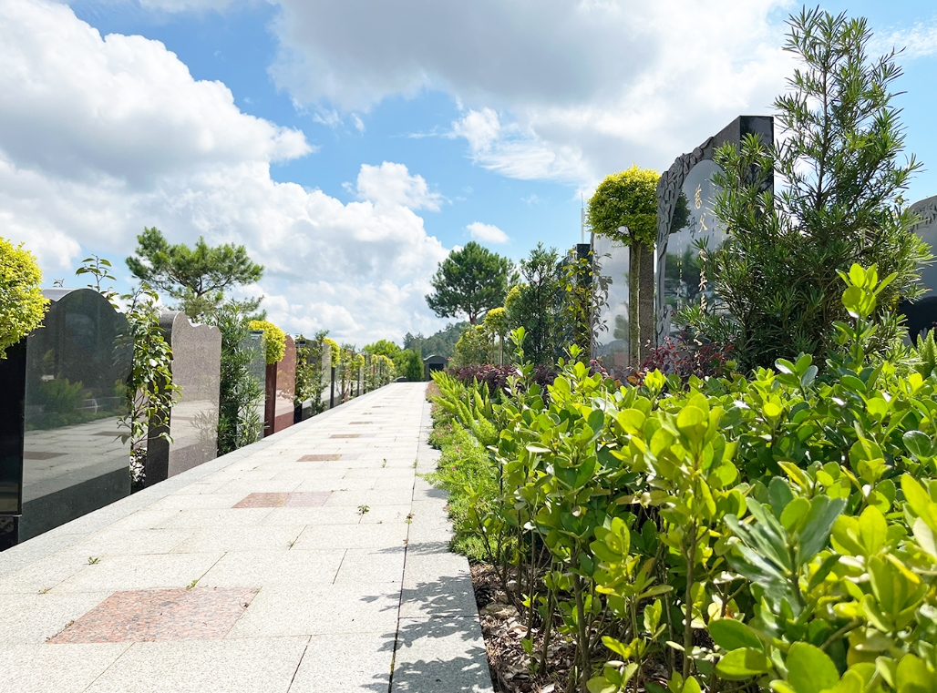 ��԰����